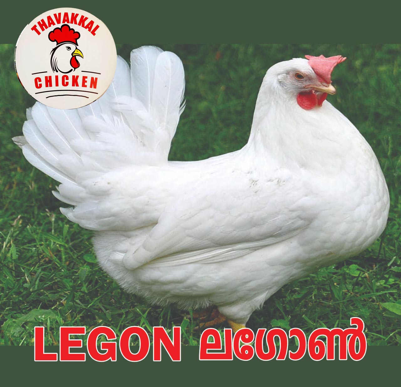 THAVAKKAL CHICKEN