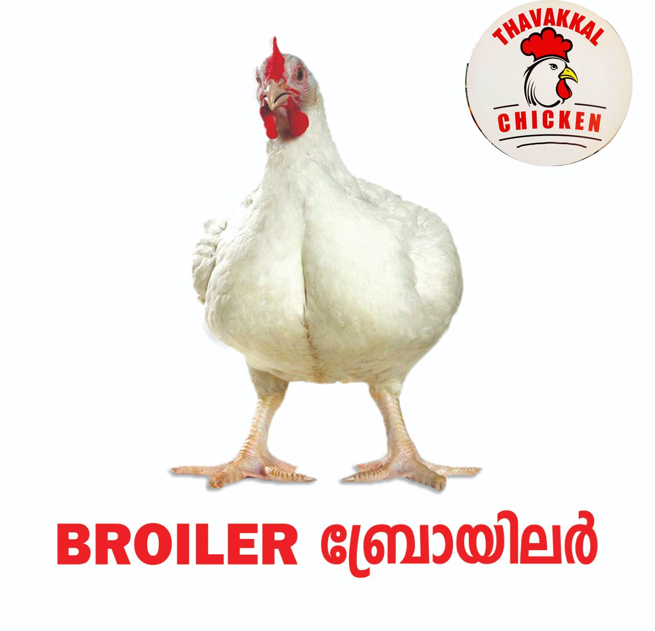 THAVAKKAL CHICKEN